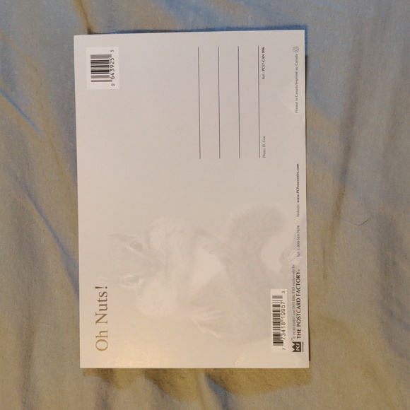 Canada Squirrel Postcard 3 for $10 - Picture 2 of 4